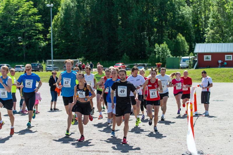Hedebyloppet 2013