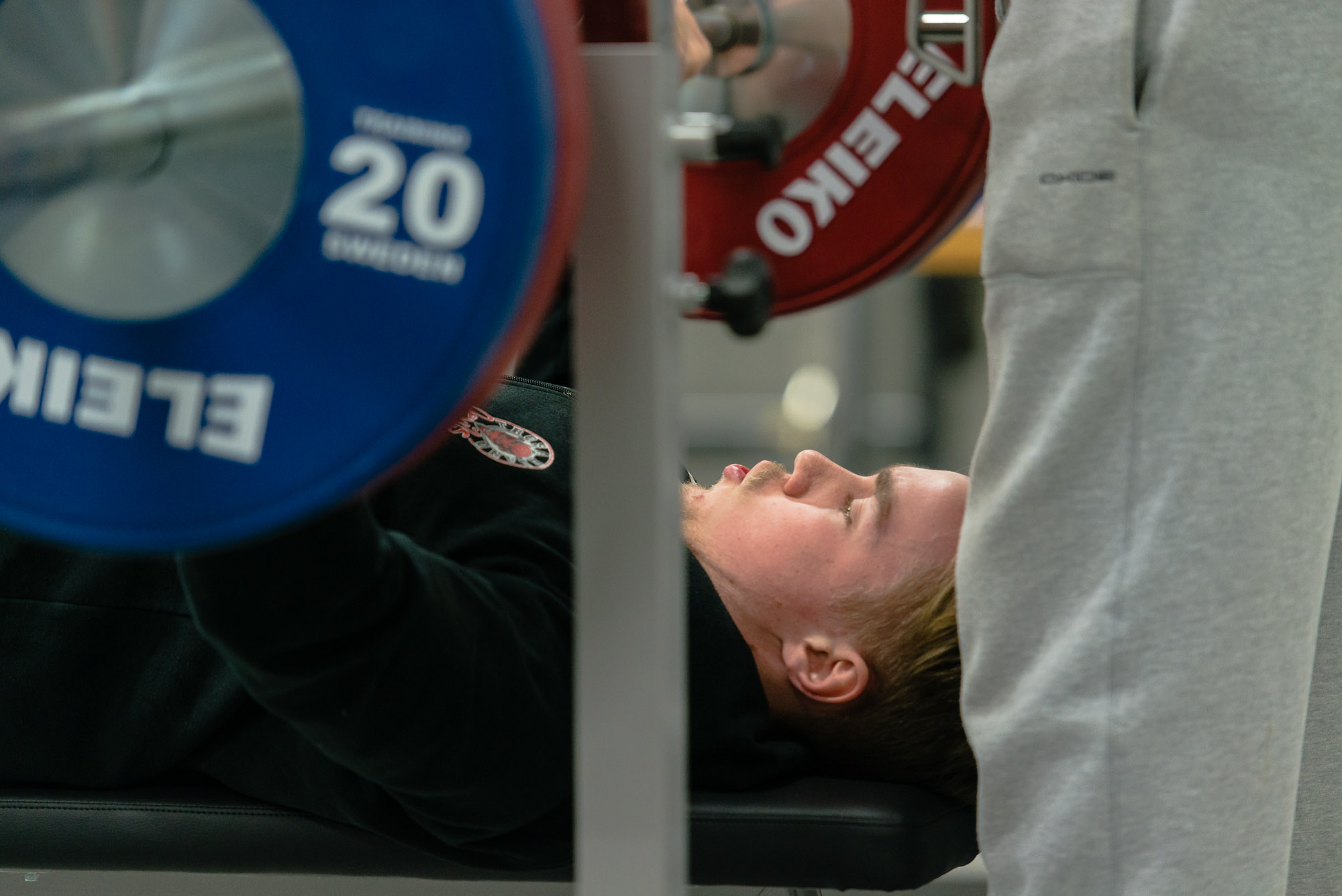 Nyårsbänken, Skrotnissarna Trosa