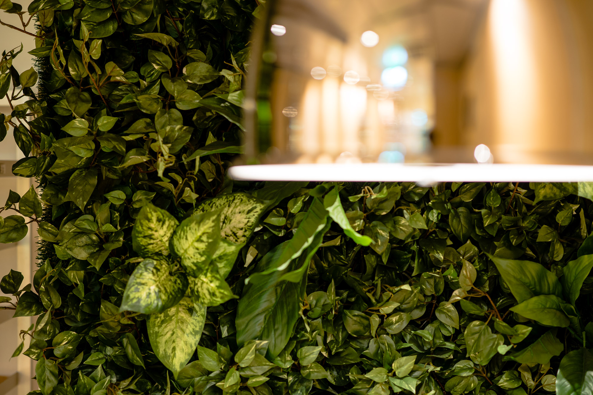 Freshii Stockholm Hötorget - interiör