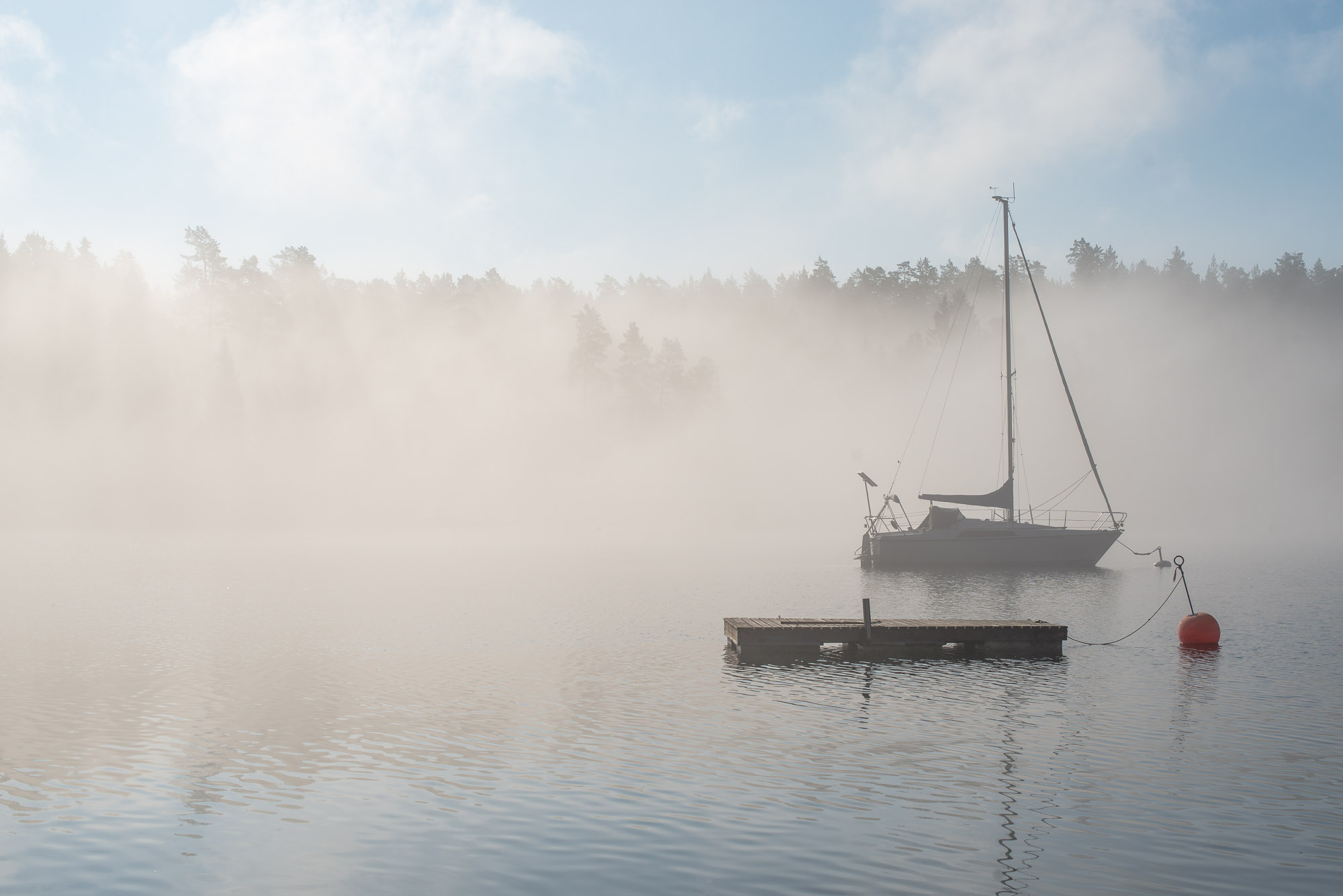 Morgondimma på Ljusterö