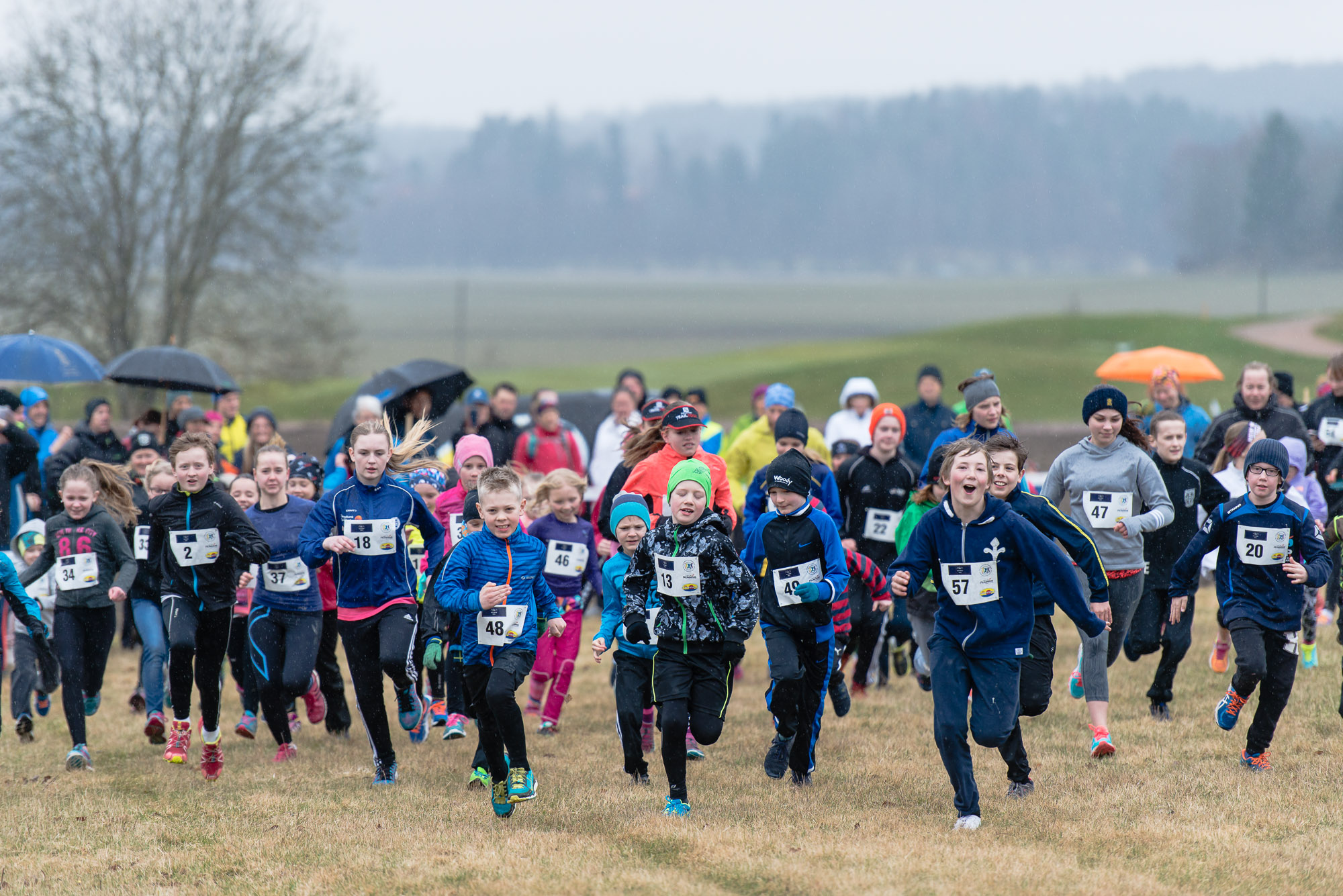 Åda Wild Boar Race 2016. Fotograf Christian Boo