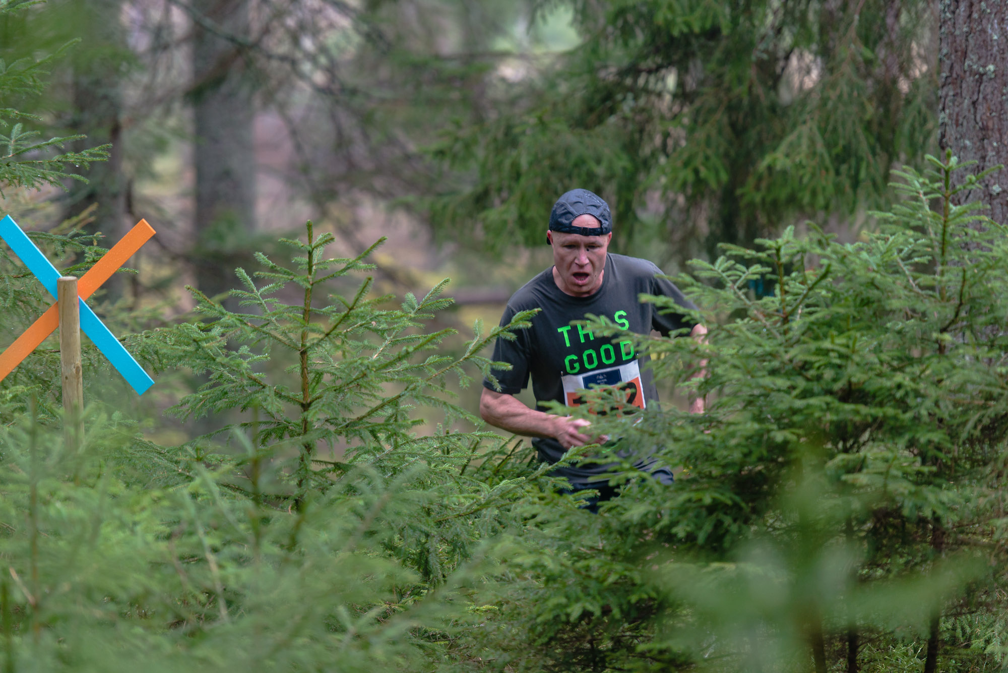 Åda Wild Boar Race 2016. Fotograf Christian Boo