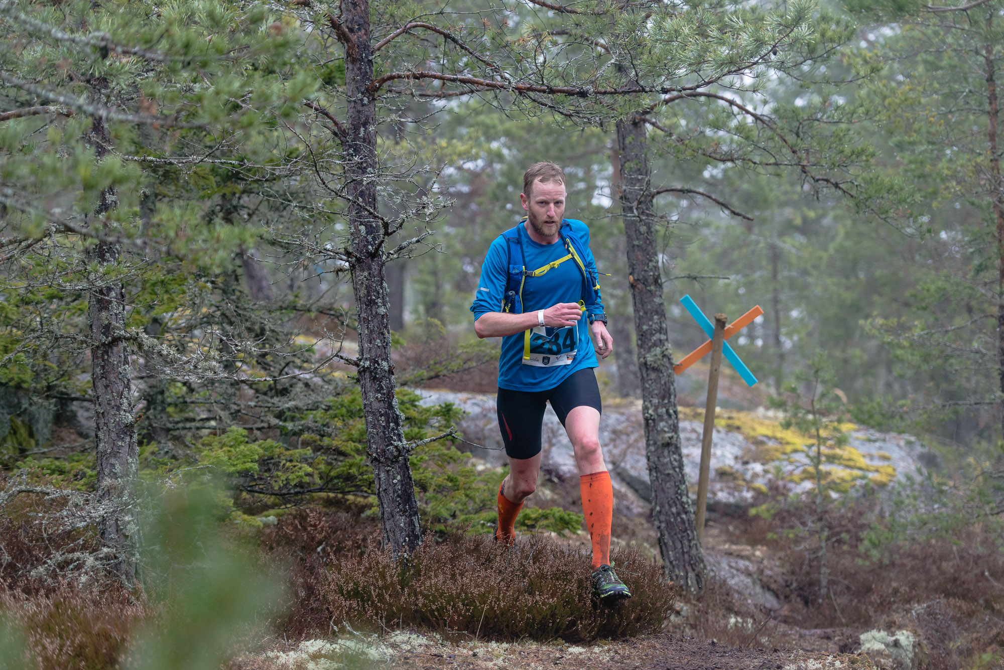 Åda Wild Boar Race 2016. Fotograf Christian Boo