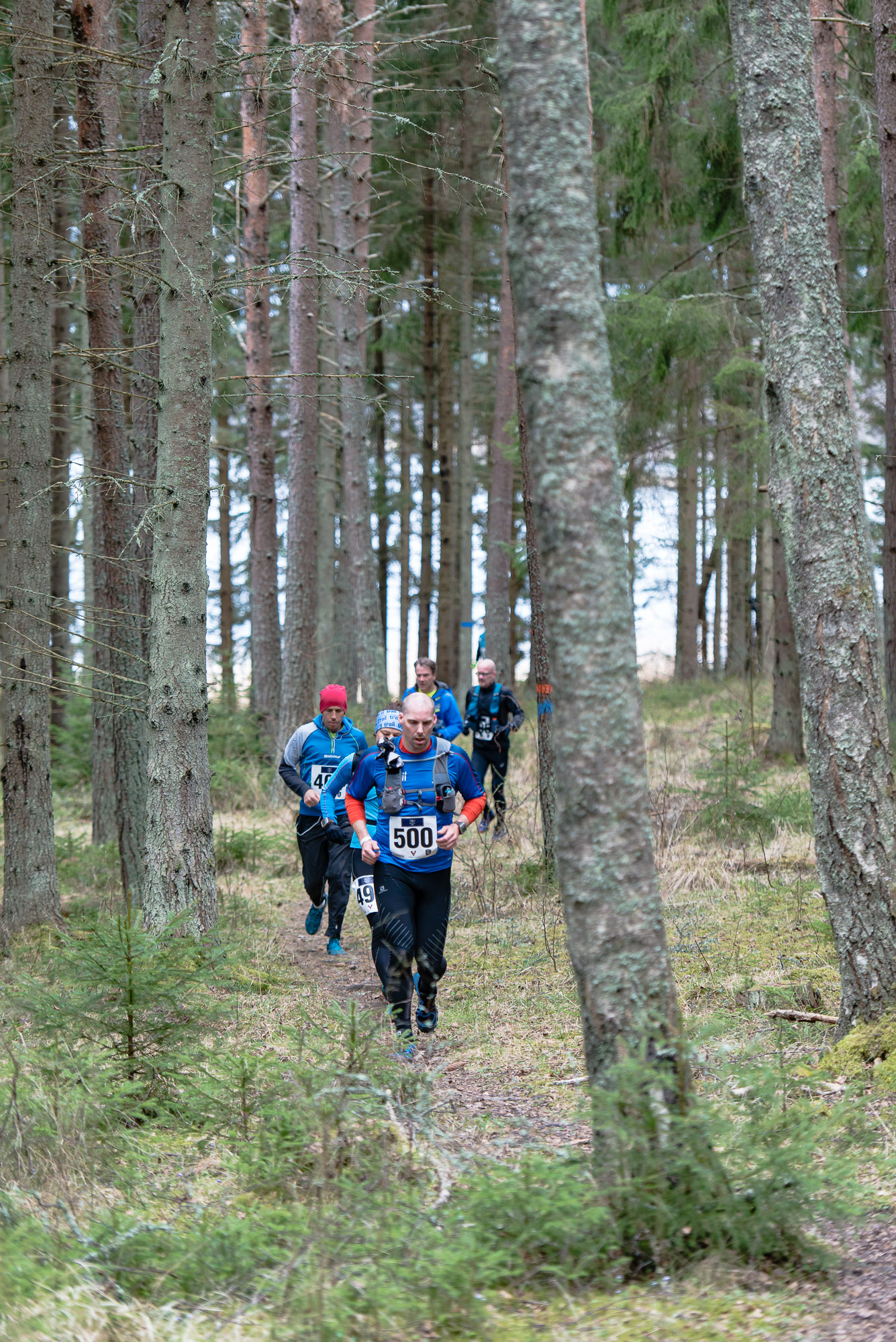 Åda Wild Boar Race 2016. Fotograf Christian Boo