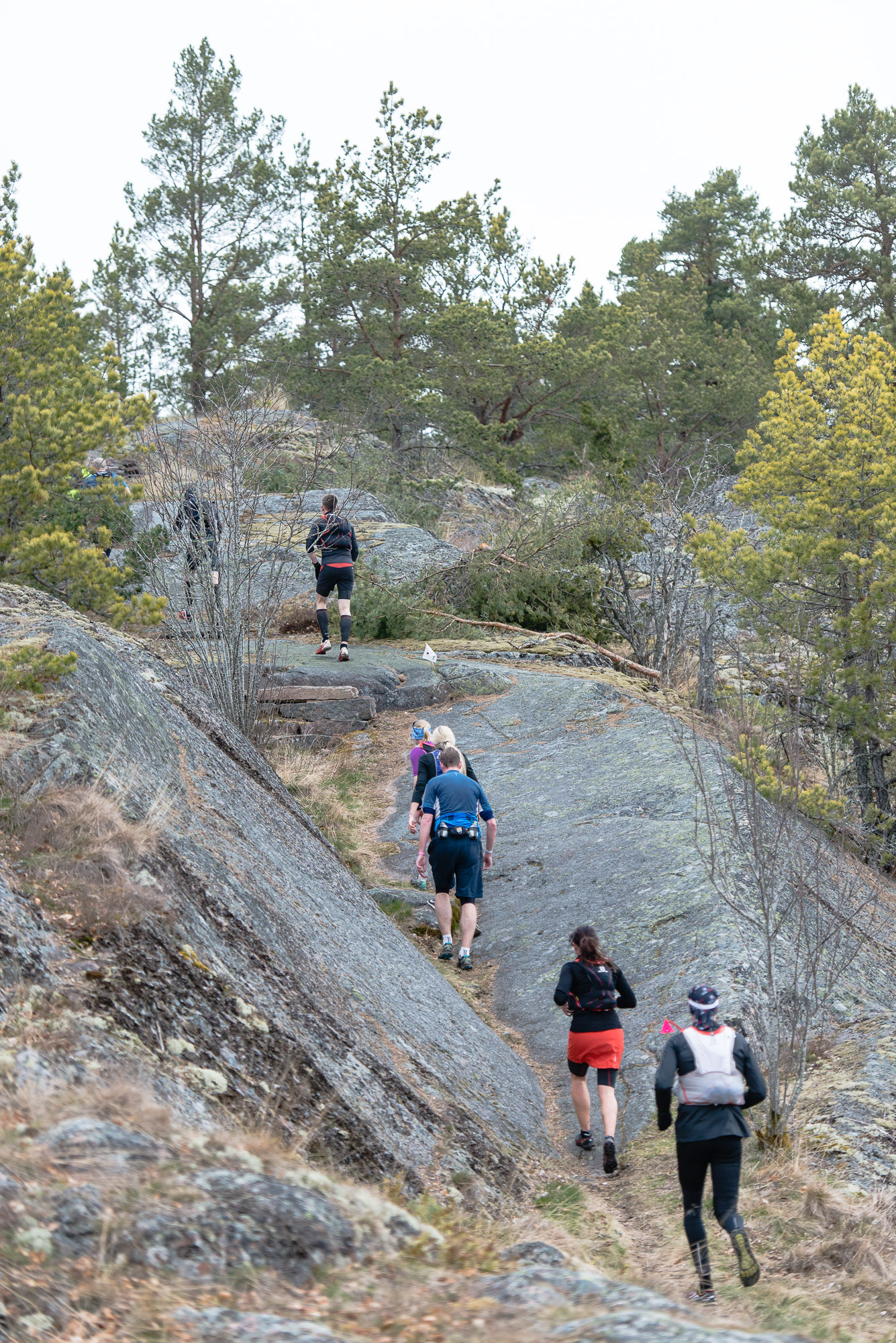 Åda Wild Boar Race 2016. Fotograf Christian Boo