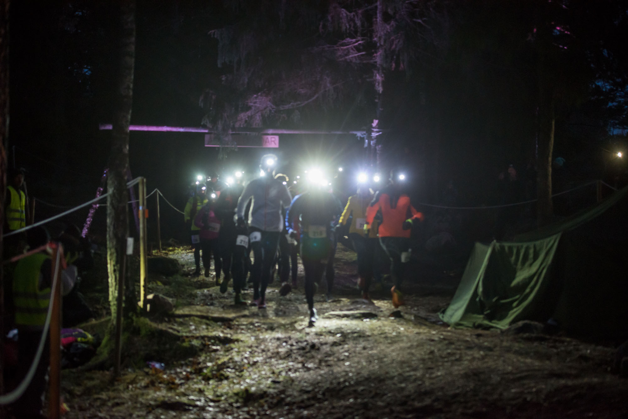 Åda Wild Boar Winter Race 2018