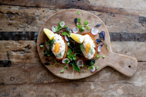 Matfotografering Grytsbergs Säteri